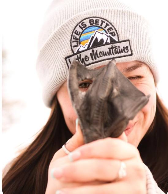 How Reordering Works With Arcadian And When To Ask For A Reset