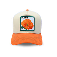 Poppy - 1FRONT