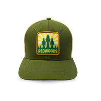 CA Redwoods Olive - 1FRONT