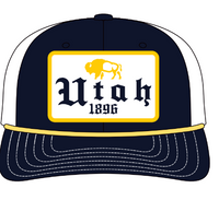 UT EST-Navy-White Mesh