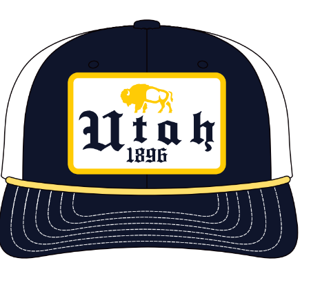 UT EST-Navy-White Mesh