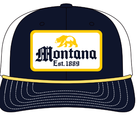 MT EST-Navy-White Mesh
