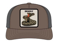 CA Scorpion Brown/Charcoal