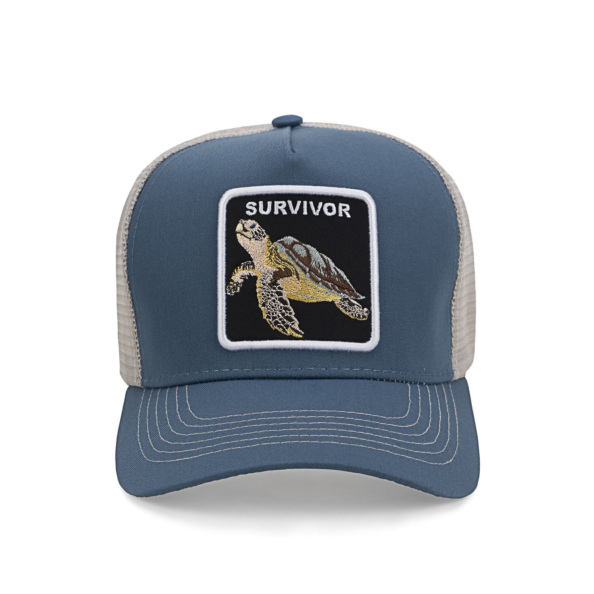 CA Survivor Turtle