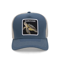 CA Survivor Turtle