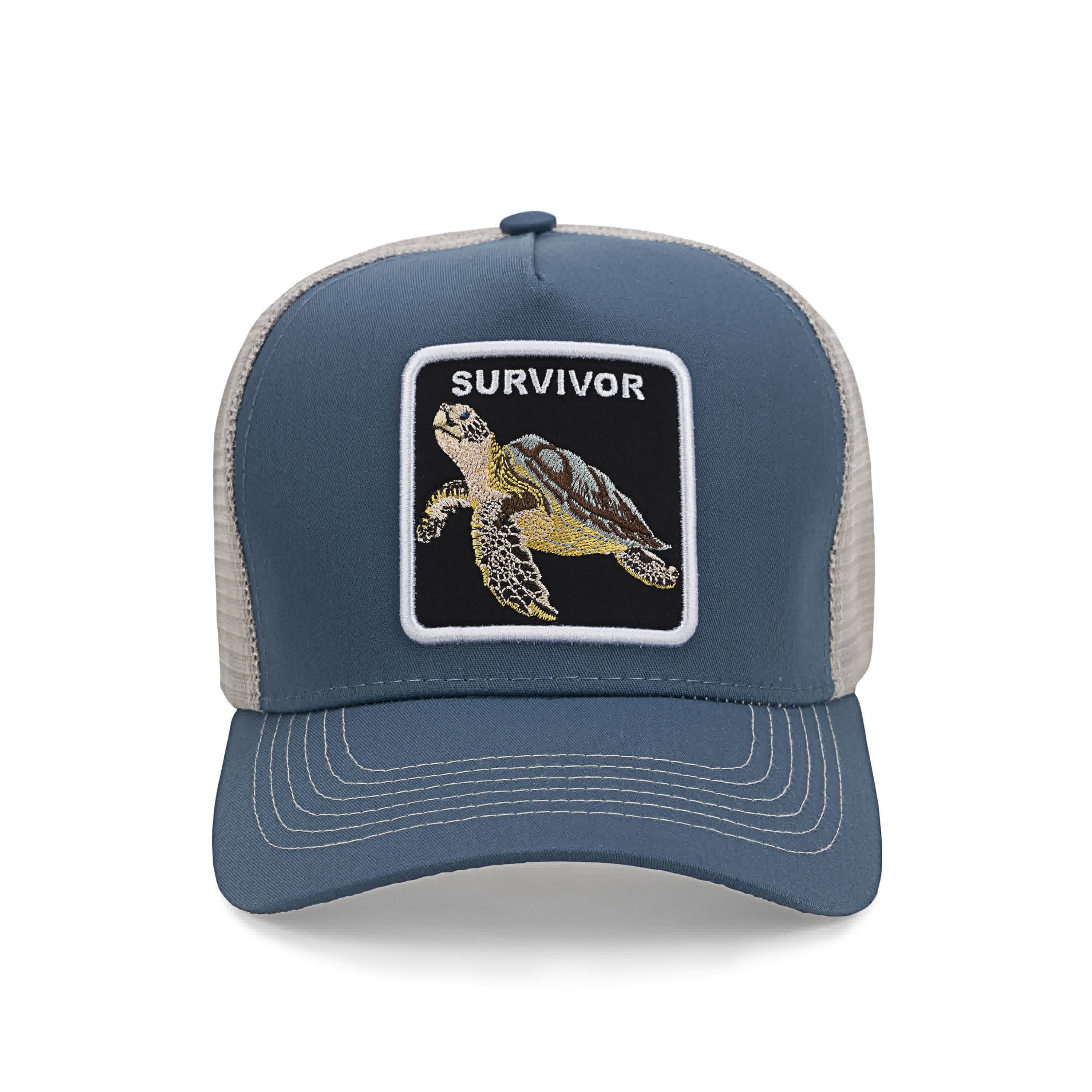CA Survivor Turtle