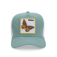 CA Monarch Sea Green/White