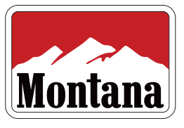MT REDS PATCH