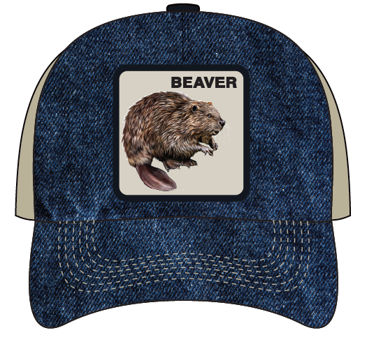 Beaver