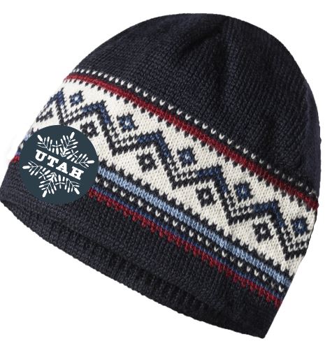 UT Alpine Navy Beanie