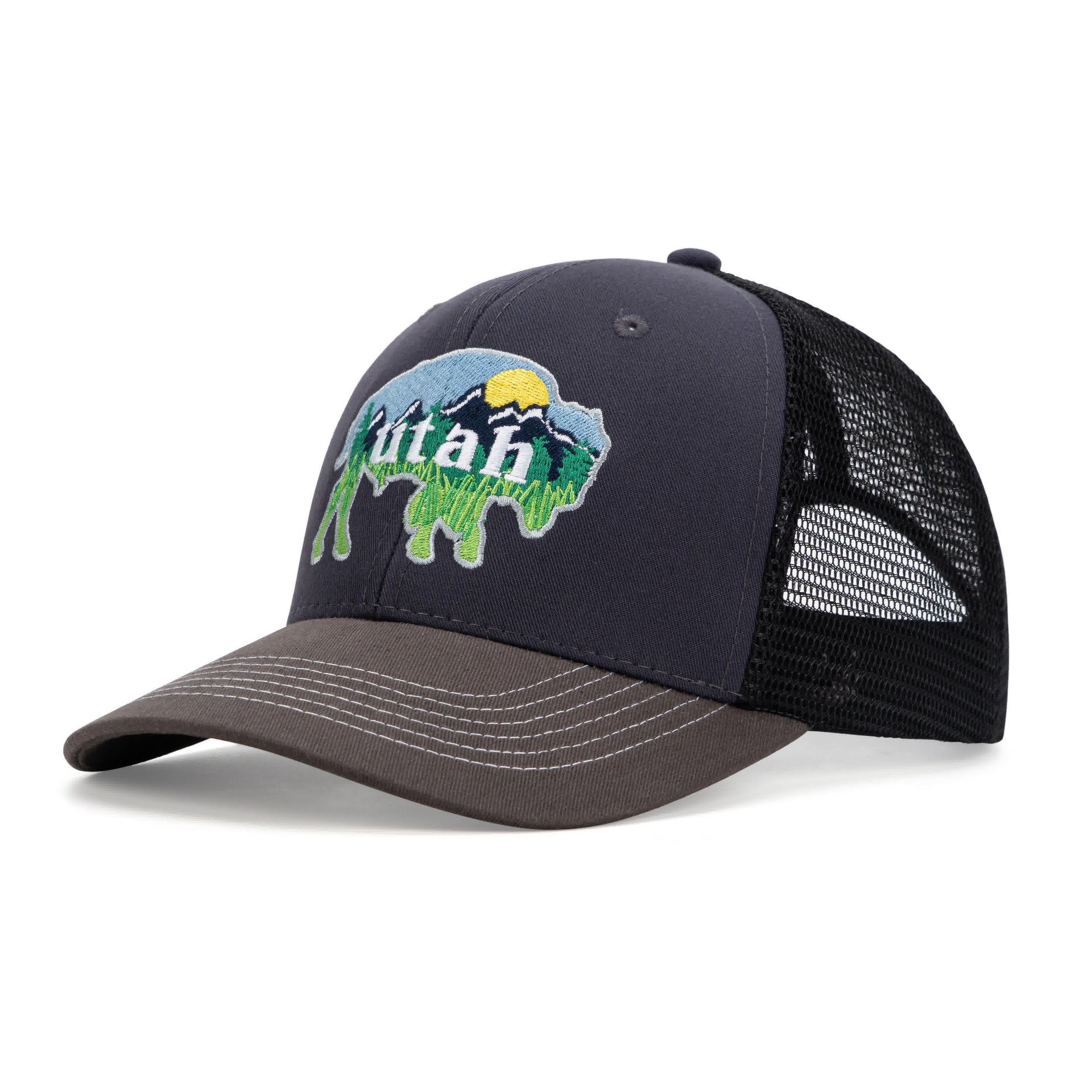 UT Bison Navy