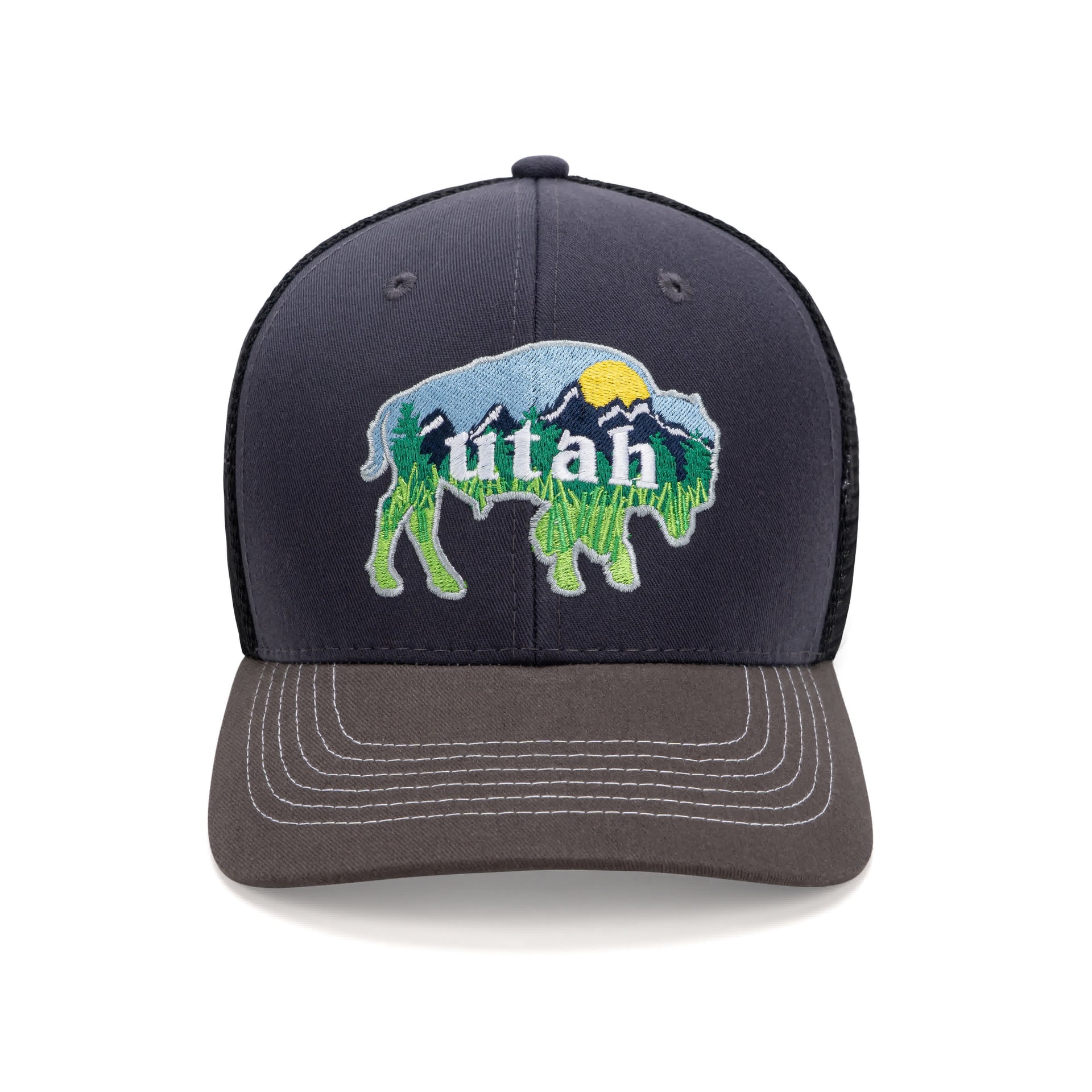 UT Bison Navy