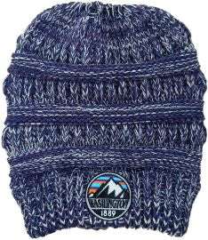 WASHINGTON PURPLE PONY BEANIE